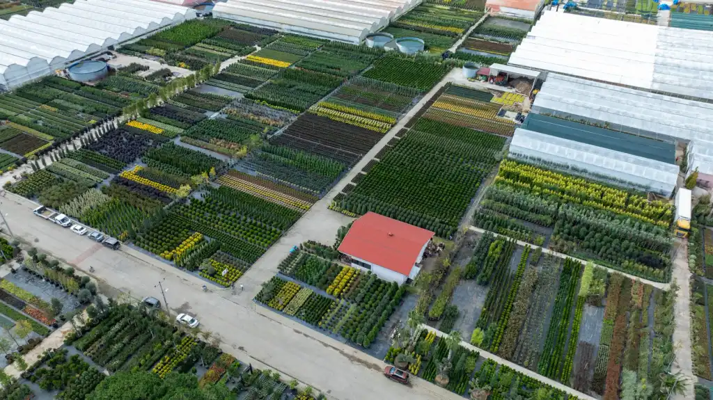 螺蛳粉门店托管服务模式对比分析:自营与托管运营效率差异